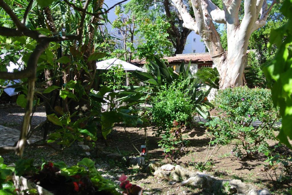Hôtel Castel Mistral Juan-les-Pins Esterno foto